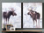 Gazing Moose Wall Art - Set of 2