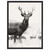 Grayscale Deer Wall Art