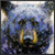 Black Bear Blue Canvas Print