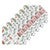 Holly Forest Placemat - Set of 6