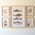 Out for Trout Wall Art - Set of 5