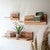 Natural Edge Floating Shelves - Set of 3