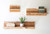 Natural Edge Floating Shelves - Set of 3