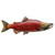 Wilderness Sockeye Salmon Wall Art
