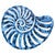 Indigo Beach Sea Snail Wall Art - CLEARANCE