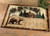 Bear & Cabin Rug - 2 x 3