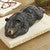 Lazy Black Bear Sculpture