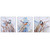 Natures Bird Bliss Wall Art - Set of 3