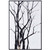 Focused Forest Wall Art