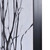 Focused Forest Wall Art