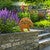 Modern Bear Garden Statue