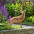 Designer Deer Garden Statue