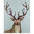 Posy Antler Deer Ice Blue Canvas Art