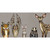 Woodland Pals on Taupe Canvas Print