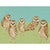 Owl Quintet Canvas Print