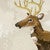 Golden Stag Canvas Print