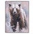 Face of the Bear Wall Art