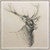 Woodland Oil Painted Wall Art