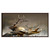 Majestic Elk Float Framed Canvas Wall Art
