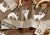 Roaming Elk Table Runner - 36 Inch - OVERSTOCK