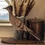 Roadrunner Wood Sculpture