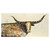 Kaleidoscope Longhorn Neutral Canvas Art - 48 x 24 - OVERSTOCK