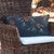 Rustic Pine Indoor/Outdoor Pillow