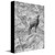 Lookout Canvas Wall Art