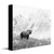 Mountainside Bear Canvas Wall Art
