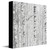 Birch Owl Canvas Wall Art
