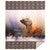 Elk Morning Sherpa Throw