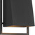 Orion Black Indoor/Outdoor Wall Sconce - Small