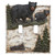 Birch Forest Black Bear Double Switch Plate