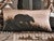 Shadow Bear Accent Pillow