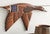 Wings Down Mallard Duck Wood Wall Hanging - Female