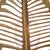 Pointed Foliage Night Light