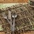 Rustic Woodland Placemats - Set of 4