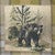 Rocky Mountain Bear Dishtowels - Set of 4