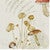 Forest Fungi Placemats - Set of 4