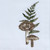 Magic Woodland Napkins - Set of 4