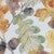 Oak Grove Napkins - Set of 4
