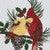 Always & Forever Cardinal Braided Placemats - Set of 4