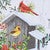 Always & Forever Cardinal Placemats - Set of 4