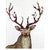 Posy Antler Deer Canvas Art