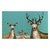 Whitetail Family Teal Canvas Art