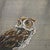 Watchful Owl Canvas Print