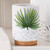 Paradise Palms Tumbler - CLEARANCE
