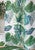 Paradise Palms Shower Curtain - CLEARANCE