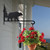 Bear Plant Hanger