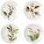 Lodge Holly Dessert Plates-Set of 4 Lodge Holly Dessert Plates-Set of 4